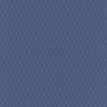 Middleboro Road R581564D-NAVY Diamond by Suzi Smith for Marcus Fabrics, Image
