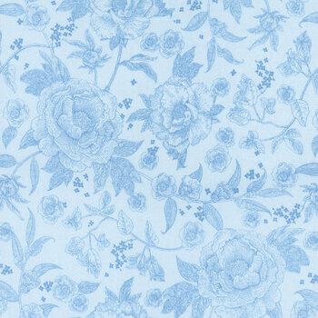 Penelope C16640-SKY by My Mind's Eye for Riley Blake Designs, Image