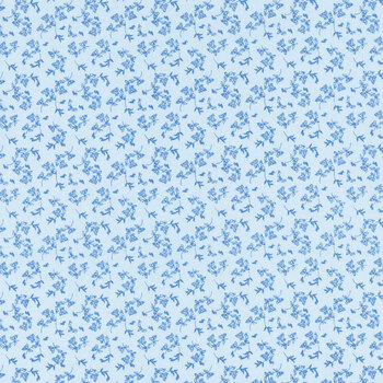 Penelope C16646-SKY by My Mind's Eye for Riley Blake Designs, Image