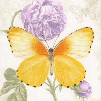 Fluttering Florals 2176B-42 Panel Multi by Jane Shasky for Henry Glass Fabrics, Image