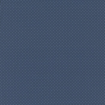 Prairie Dry Goods II R171657D-NAVY by Pam Buda for Marcus Fabrics, Image