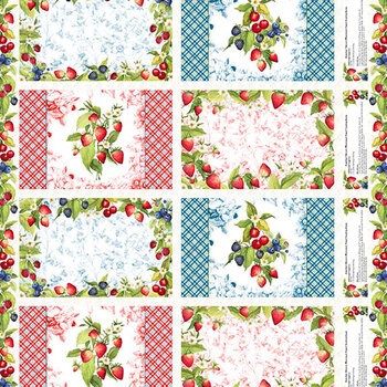 Patchwork Picnic W105-010-035 Panel Multi by Susan Winget for White Owl Textiles, Image