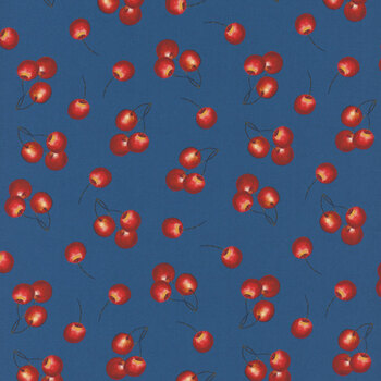 Patchwork Picnic W105-014-573 Navy by Susan Winget for White Owl Textiles, Image