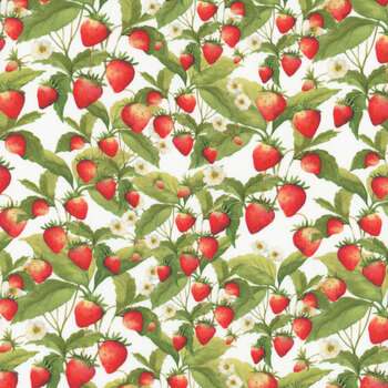 Patchwork Picnic W105-013-036 White by Susan Winget for White Owl Textiles, Image