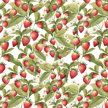 Patchwork Picnic W105-013-036 White by Susan Winget for White Owl Textiles, Image