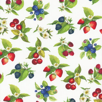 Patchwork Picnic W105-012-003 White by Susan Winget for White Owl Textiles, Image