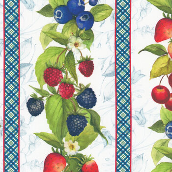 Patchwork Picnic W105-011-053 Multi by Susan Winget for White Owl Textiles, Image