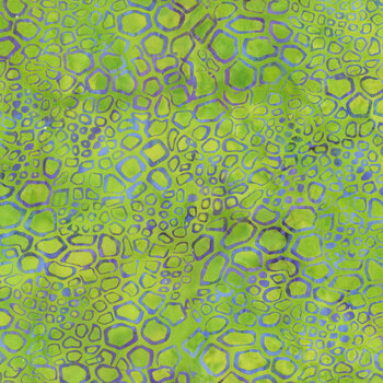 Fossil Finesse 112521850 Multi Purple Green Flourite by Kathy Engle for Island Batik, Image