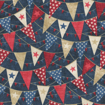 American Heartland 28733-49 Navy Multi by Northcott Fabrics, Image