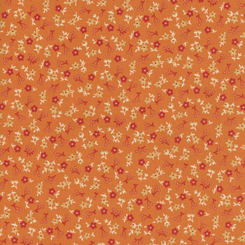 Farmer's Daughter C17164-SQUASH Blossom by Lori Holt for Riley Blake Designs, Image