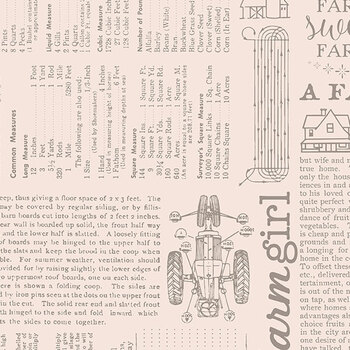 Farmer's Daughter C17190-RUSTIC Farm Life Background by Lori Holt for Riley Blake Designs, Image