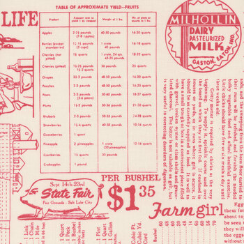 Farmer's Daughter C17190-TEAROSE Farm Life Background by Lori Holt for Riley Blake Designs, Image