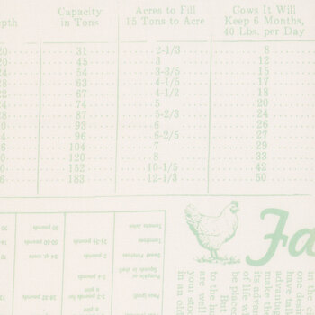 Farmer's Daughter 108" Wide WB17193-SAGE Farm Life by Lori Holt for Riley Blake Designs