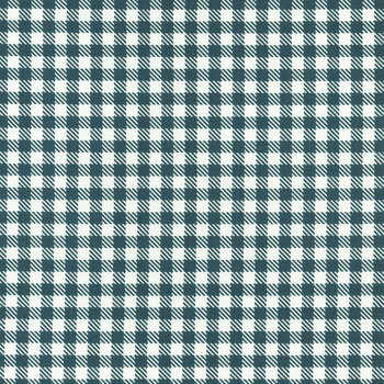 Serendipity 2 C17303-STARGAZER Gingham by Minki Kim for Riley Blake Designs, Image