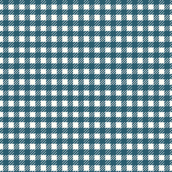 Serendipity 2 C17303-STARGAZER Gingham by Minki Kim for Riley Blake Designs, Image