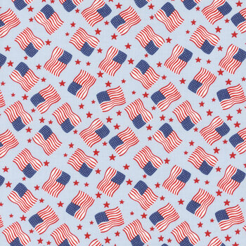Firecracker C17203-FROST Flags by My Mind's Eye for Riley Blake Designs, Image