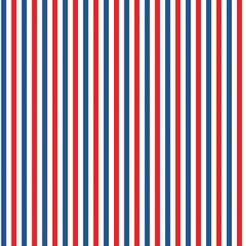 Firecracker C17205-MULTI Stripes by My Mind's Eye for Riley Blake Designs, Image