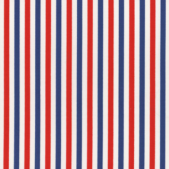 Firecracker C17205-MULTI Stripes by My Mind's Eye for Riley Blake Designs, Image