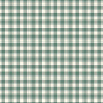 Renew C17284-AQUA Plaid by Sandy Gervais for Riley Blake Designs, Image