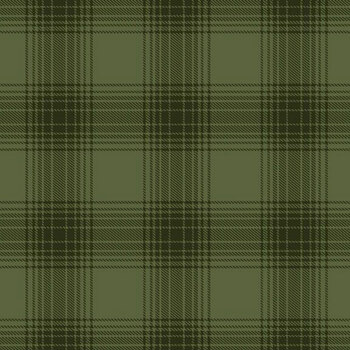 Primo Plaids: Spice Mix R091422-GREEN by Marcus Fabrics, Image