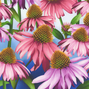 Blissful Blooms 3561-77 Blue Echinacea by Color Principle for Henry Glass Fabrics, Image