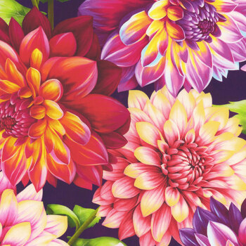 Blissful Blooms 3563-55 Purple Dahlias by Color Principle for Henry Glass Fabrics, Image