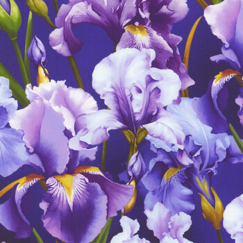 Blissful Blooms 3568-58 Deep Purple Irises by Color Principle for Henry Glass Fabrics, Image