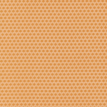 Kimberbell Basics Flannel MASF8256-O2 Orange by Maywood Studio, Image