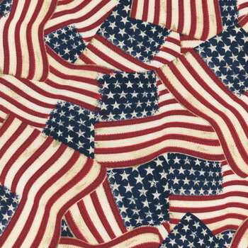Founding Glory 49361-234 Multi Packed Flags by Jennifer Pugh for Wilmington Prints, Image