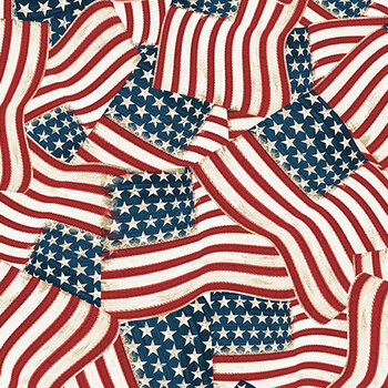 Founding Glory 49361-234 Multi Packed Flags by Jennifer Pugh for Wilmington Prints, Image