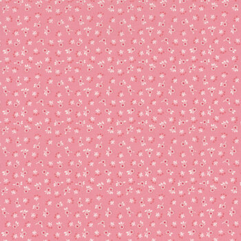 Peach Cobbler C17425-PINK by Lily Ashbury for Riley Blake Designs, Image