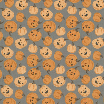 Frank and Friends C17472-CHARCOAL by My Mind's Eye for Riley Blake Designs