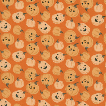 Frank and Friends C17472-ORANGE by My Mind's Eye for Riley Blake Designs