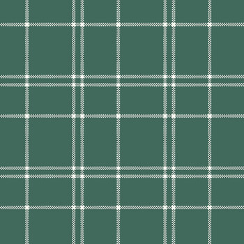 The North Pole Flannel F17751-FOREST by My Mind's Eye for Riley Blake Designs, Image