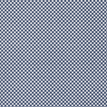 Seasonal Basics C777-NAVY Gingham by Riley Blake Designs