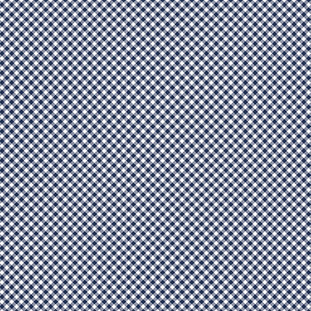Seasonal Basics C777-NAVY Gingham by Riley Blake Designs, Image