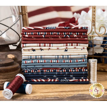 America 250 Years  23 FQ Set + Panel by Deb Strain for Moda Fabrics - RESERVE, Image
