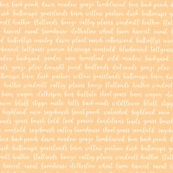 Pastel Prairie 31784-19 Apricot by Heather Briggs for Moda Fabrics, Image