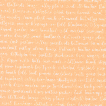 Pastel Prairie 31784-19 Apricot by Heather Briggs for Moda Fabrics, Image