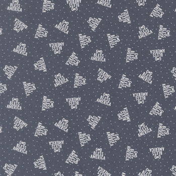 Independence Day 55724-14 Indigo by Sweetwater for Moda Fabrics, Image