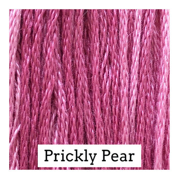 Classic Colorworks Prickly Pear - 6 Strand Embroidery Floss, Image
