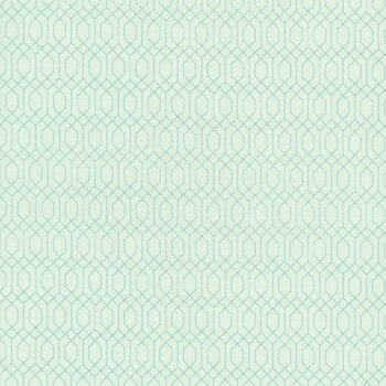 Essence C16462-Iceberg by Fran Gulick for Riley Blake Designs, Image