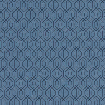 Essence C16462-Denim by Fran Gulick for Riley Blake Designs, Image