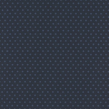 Essence C16460-Navy by Fran Gulick for Riley Blake Designs, Image