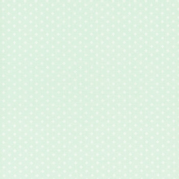 Essence C16460-Iceberg by Fran Gulick for Riley Blake Designs, Image