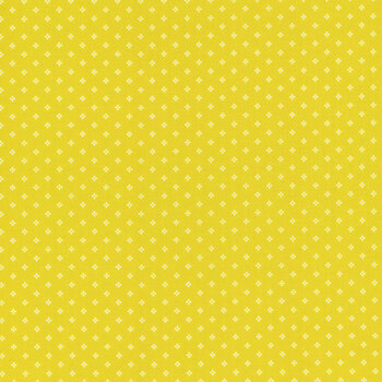 Essence C16460-Citron by Fran Gulick for Riley Blake Designs, Image