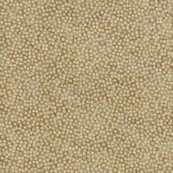 Shimmer 27898M-92 Desert Sand by Deborah Edwards for Northcott Fabrics, Image