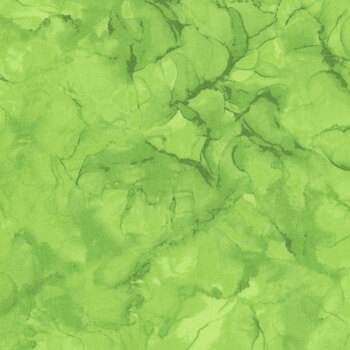 Mirage 28270-74 Green Apple by Deborah Edwards for Northcott Fabrics