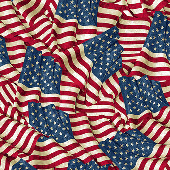 Stars & Stripes 14 - Stonehenge 29043-12 by Linda Ludovico and Deborah Edwards for Northcott Fabrics, Image
