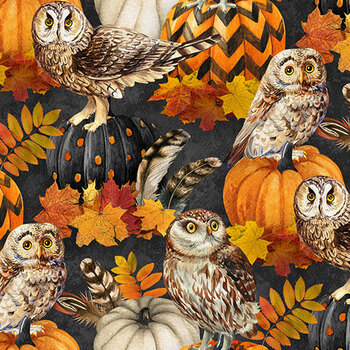 Night Owl DP28846-96 by Deborah Edwards for Northcott Fabrics, Image